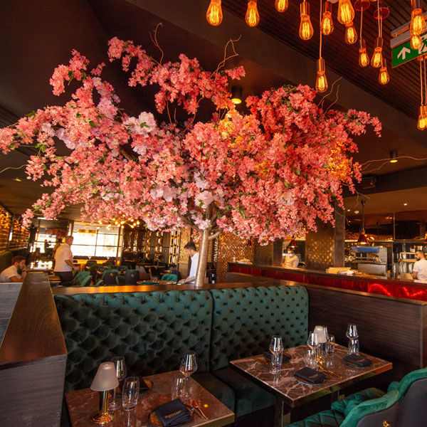 Restaurant Space